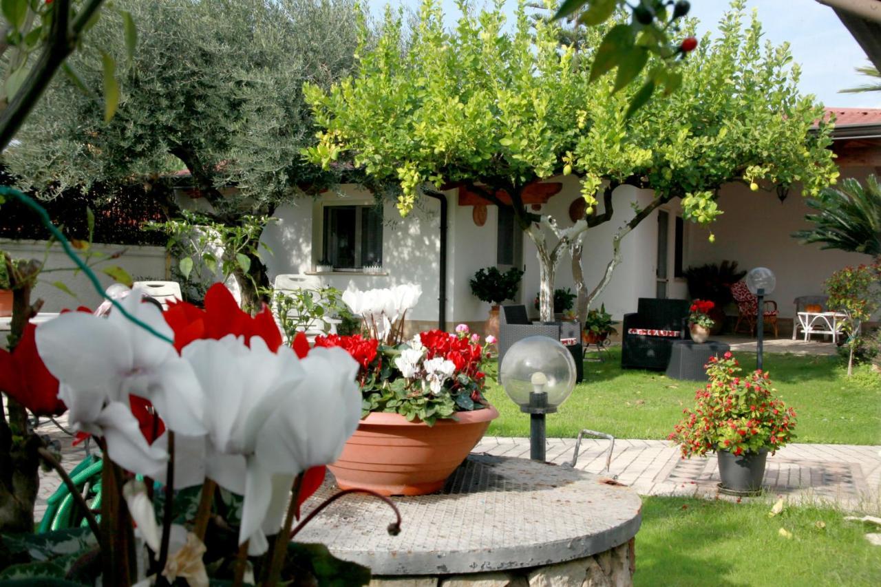 Villa Cecilia Bed And Breakfast Cellole Εξωτερικό φωτογραφία