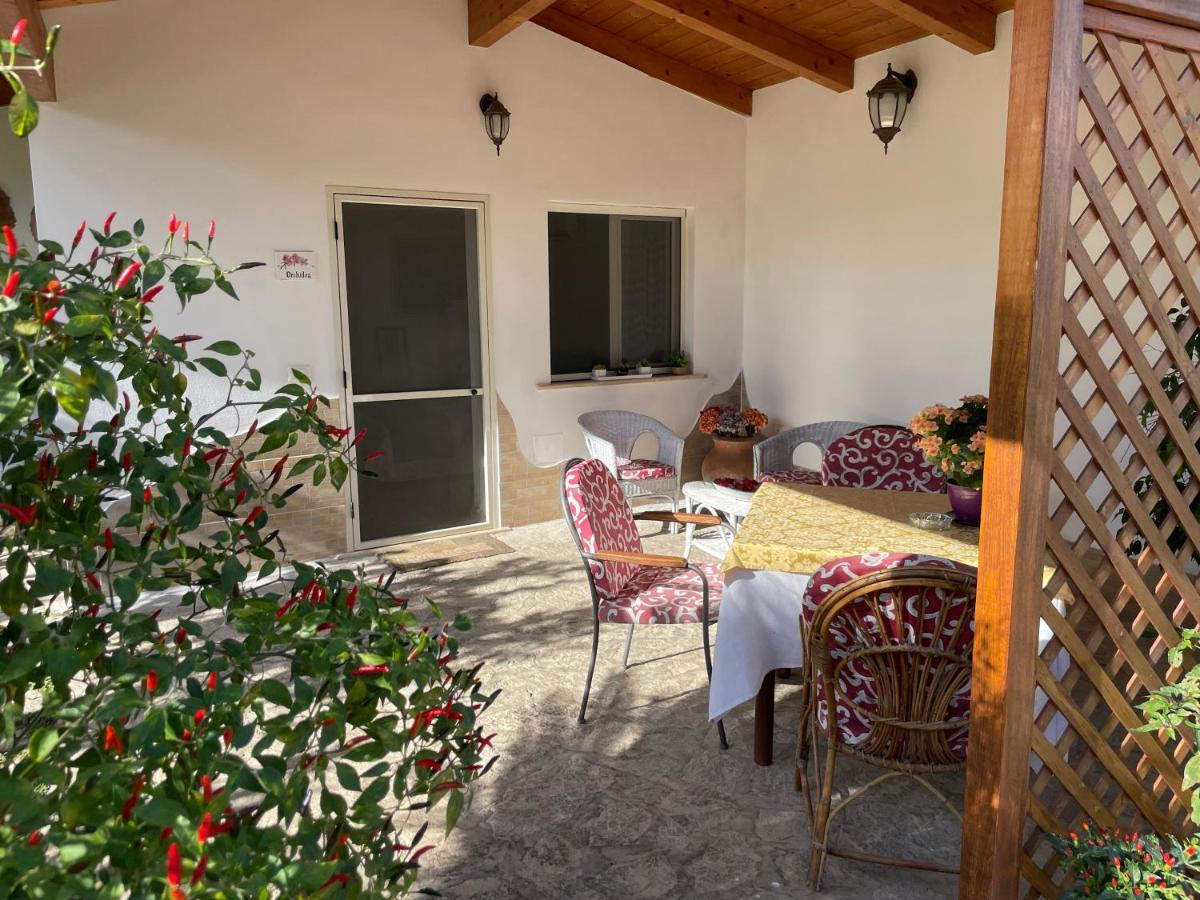 Villa Cecilia Bed And Breakfast Cellole Εξωτερικό φωτογραφία