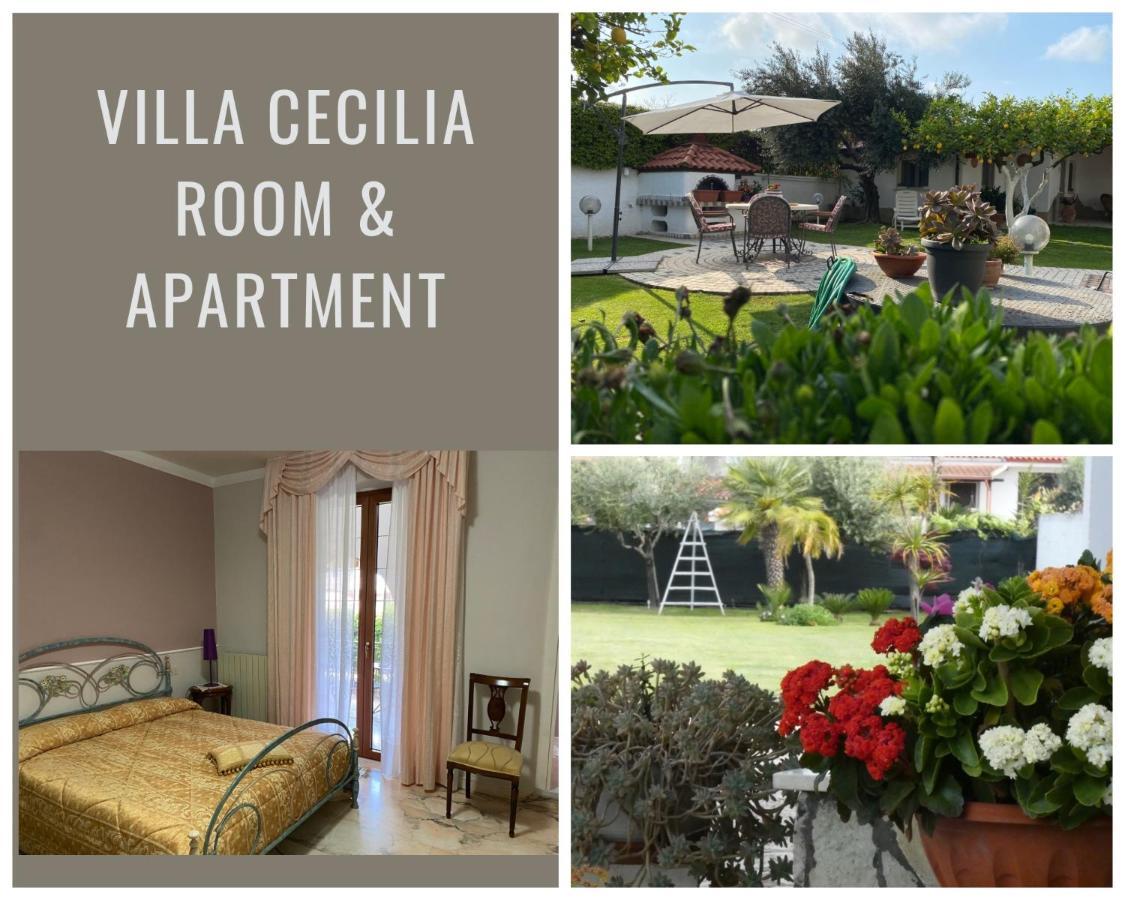 Villa Cecilia Bed And Breakfast Cellole Εξωτερικό φωτογραφία